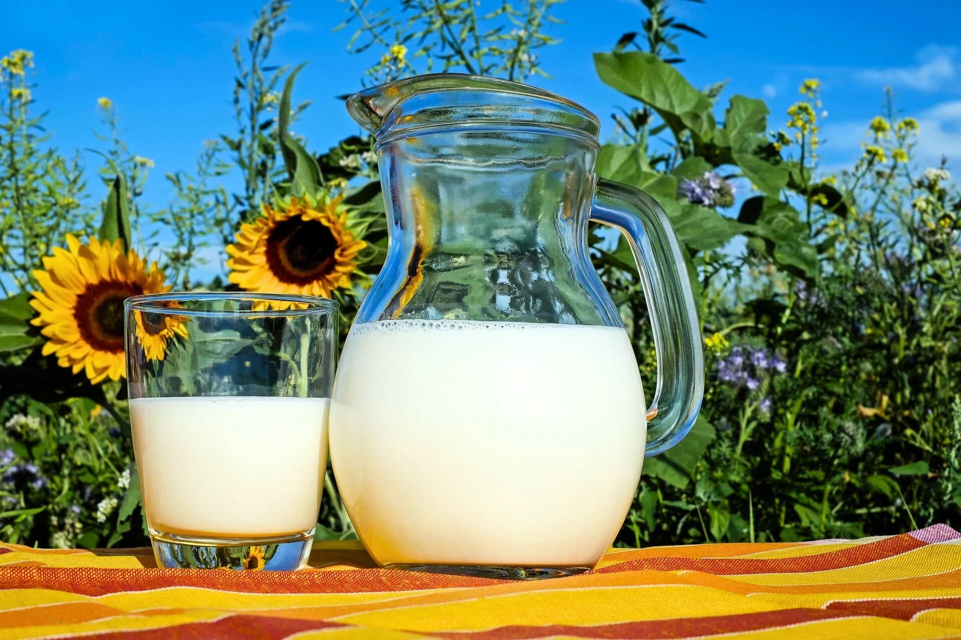 Le Lait et la Santé Gastrique : Comment Équilibrer ses Bienfaits et Ses Risques