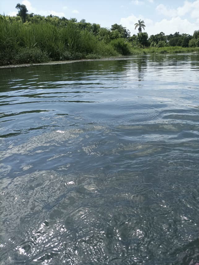 Chanje kwayans, chanje lavi